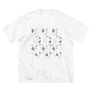 たっぷり文鳥ちゃん【まめるりはことり】