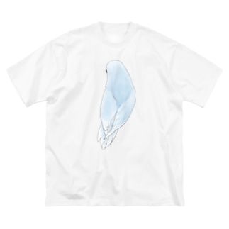 見返り美人マメルリハちゃん【まめるりはことり】