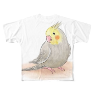 オカメインコ　シナモン【まめるりはことり】