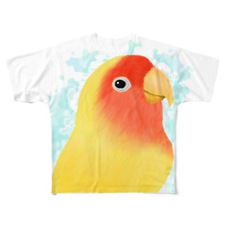 ほんわかコザクラインコ　ルチノー【まめるりはことり】