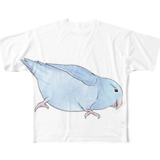 マメルリハ　もちふりちゃん【まめるりはことり】