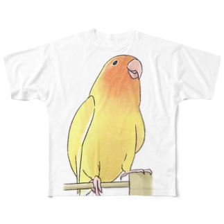 得意げ可愛い　コザクラインコちゃん【まめるりはことり】