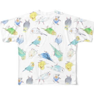 めっちゃセキセイインコちゃん【まめるりはことり】