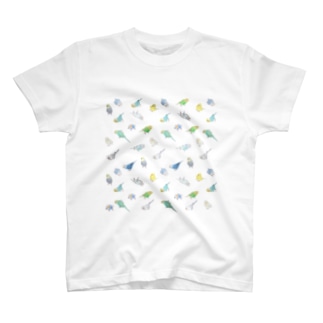 たっぷりセキセイインコちゃん【まめるりはことり】