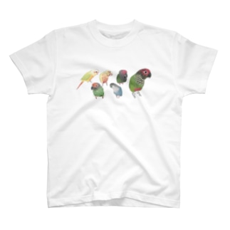 あつまれウロコインコちゃん【まめるりはことり】