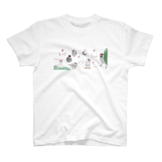 あつまれ文鳥ちゃん【まめるりはことり】