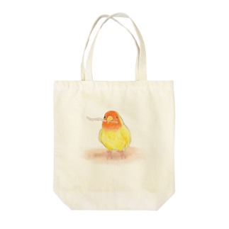 コザクラインコ　レイ【まめるりはことり】