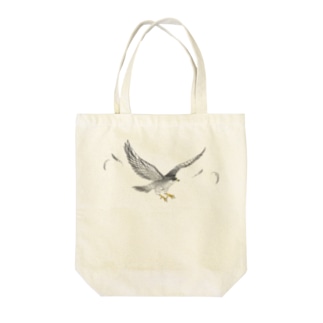 隼ファルコン【まめるりはことり】