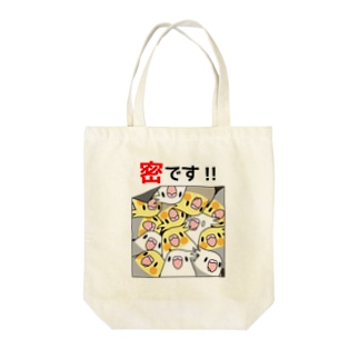 密です！オカメインコさん【まめるりはことり】