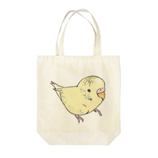 可愛いセキセイインコ　おすましちゃん【まめるりはことり】