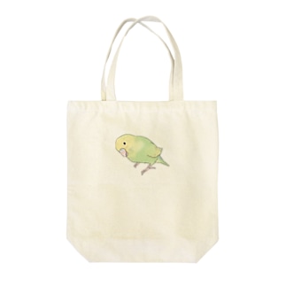 首傾げ　スパングルセキセイインコちゃん【まめるりはことり】