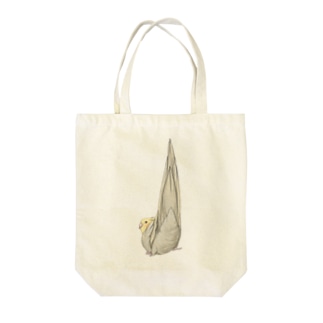 尾羽がピン　可愛いオカメインコちゃん【まめるりはことり】