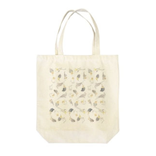 たっぷりオカメインコちゃん【まめるりはことり】