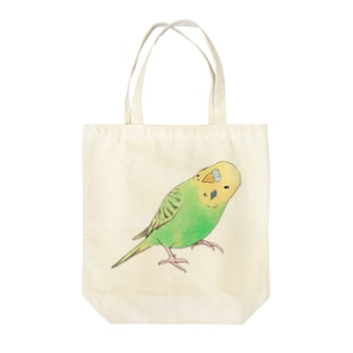 首傾げセキセイインコ　ピーちゃん【まめるりはことり】