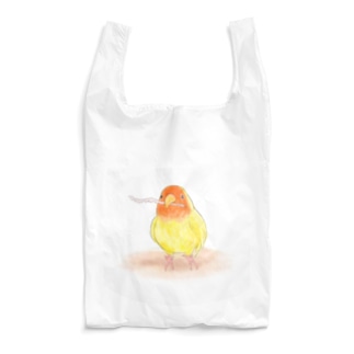 コザクラインコ　レイ【まめるりはことり】