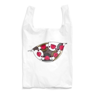 三密です！むちむち文鳥さん【まめるりはことり】