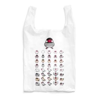 整列文鳥隊【まめるりはことり】