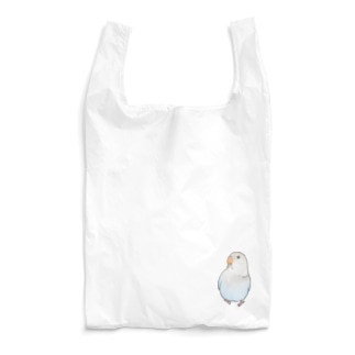 おすましコザクラインコ　らむねちゃん【まめるりはことり】