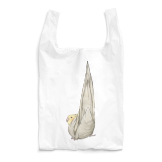 尾羽がピン　可愛いオカメインコちゃん【まめるりはことり】