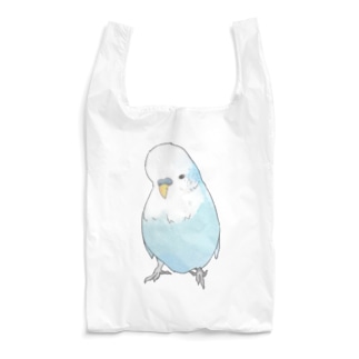 可愛いジャンボセキセイインコ【まめるりはことり】