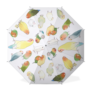 たっぷりラブバード（コザクラインコ・ボタンインコ）ちゃん傘【まめるりはことり】