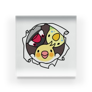 アクリルブロック