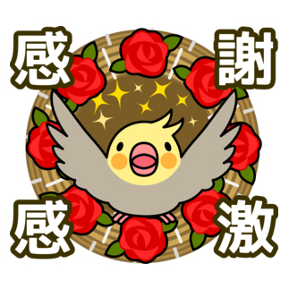 感謝感激オカメインコ【まめるりはことり】