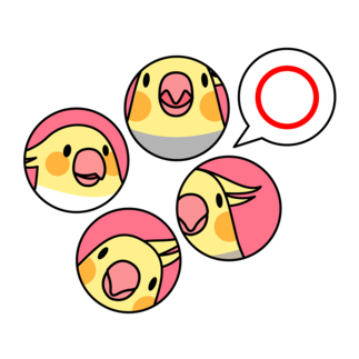 オカメインコまる〇【まめるりはことり】