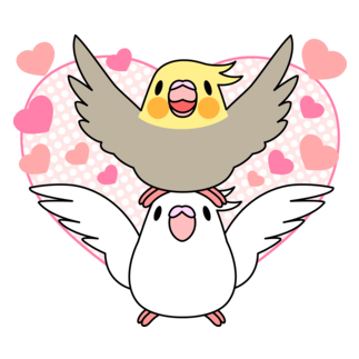 ラブリーオカメインコ【まめるりはことり】
