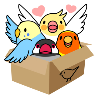 拾ってくださいインコ【まめるりはことり】