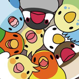 三みっちりむっちり過密鳥まみれさん【まめるりはことり】