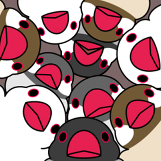 みっちりむっちり過密文鳥さん【まめるりはことり】