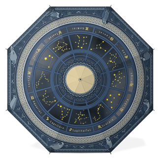 鳥＆星座盤の長傘【まめるりはことり】