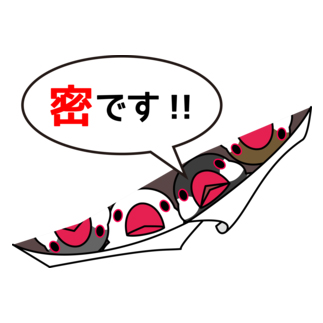 密です！フィンチさん【まめるりはことり】