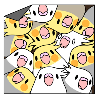 三密です！むちむちオカメインコさん【まめるりはことり】