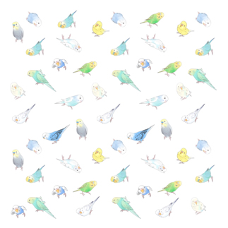 いっぱいセキセイインコちゃん【まめるりはことり】