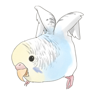 ご機嫌羽セキセイインコちゃん【まめるりはことり】