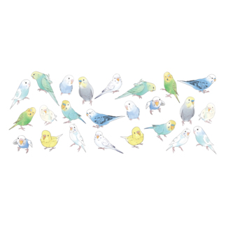 あつまれセキセイインコちゃん【まめるりはことり】