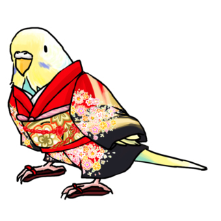 ごきげん着物セキセイインコ【まめるりはことり】