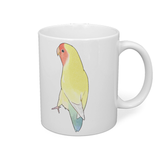 可愛いコザクラインコのキキちゃん【まめるりはことり】