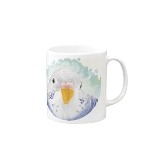 セキセイインコ　オパーリン【まめるりはことり】