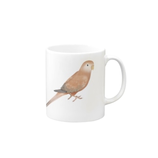 アキクサインコ　ピンク【まめるりはことり】