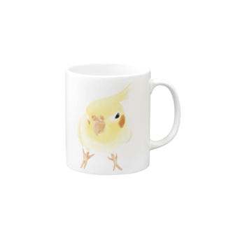 オカメインコ　おすましルチノー【まめるりはことり】