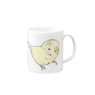 可愛いセキセイインコ　おすましちゃん【まめるりはことり】