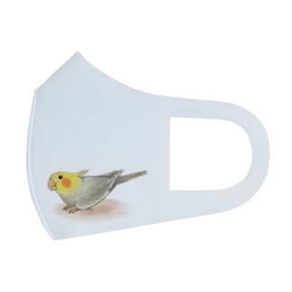 オカメインコ　レキ【まめるりはことり】