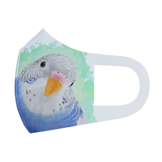 セキセイインコ　オパーリン大【まめるりはことり】