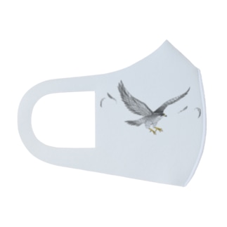 隼ファルコン【まめるりはことり】