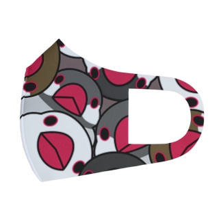 みっちりむっちり過密文鳥さん【まめるりはことり】