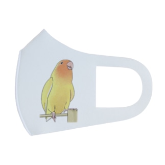 得意げ可愛い　コザクラインコちゃん【まめるりはことり】