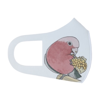 モモイロインコちゃんとトウモロコシ【まめるりはことり】